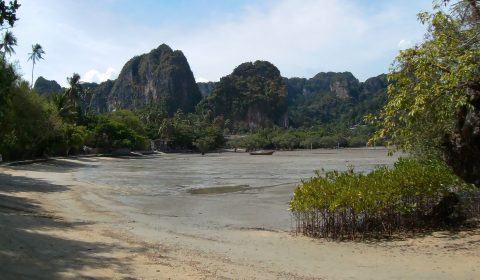 Low Tide