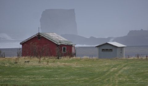 Vik
