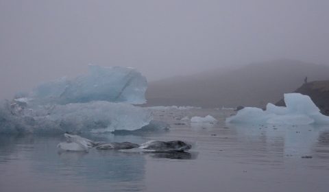 Jökulsárlón Glacier Lagoon