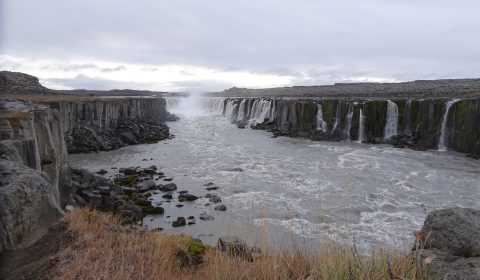 Selfoss