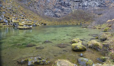 Asbyrgi Canyon