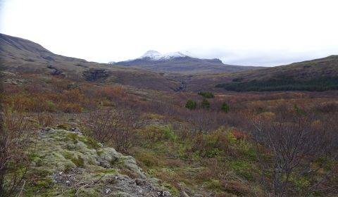 The Valley