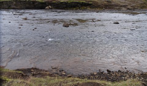 The (Long) Crossing