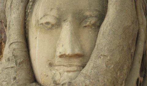 Hidden Buddha
