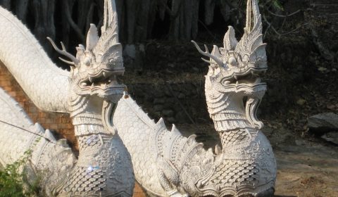 Stairway To Wat Pha Lat