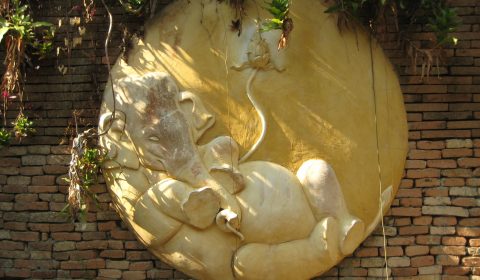 Sleeping Elephant