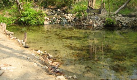 Tha Pai Hot Spring