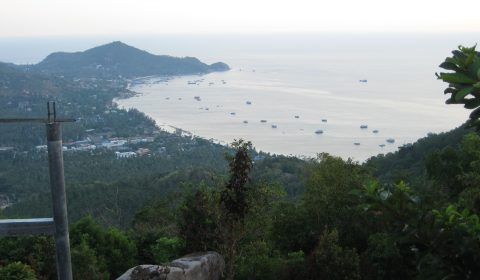 Mango Bay View