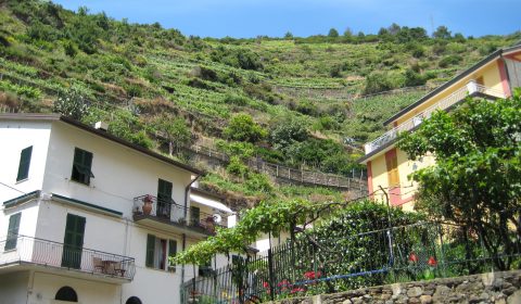Cinque Terre