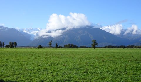 Fox Glacier Viewpoint Lake Matheson