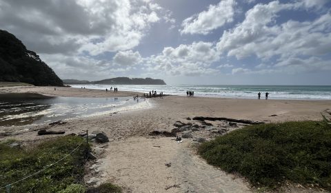 Hahei Beach