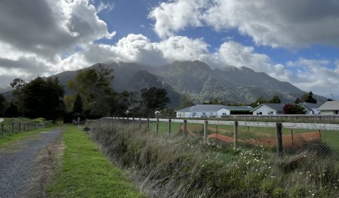 Te Aroha