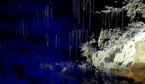 Waitomo Glowworm Caves