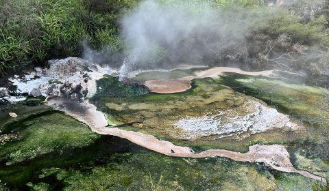 Waimangu Volcanic Valley