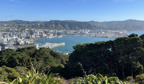 Wellington