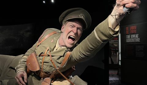 Te Papa Museum