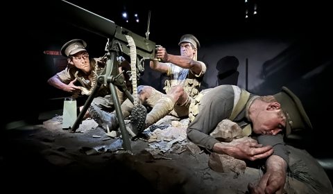 Te Papa Museum