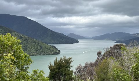 Marlborough Sound Cullen Point