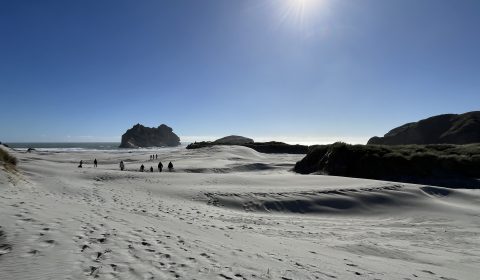 Wharariki Beach