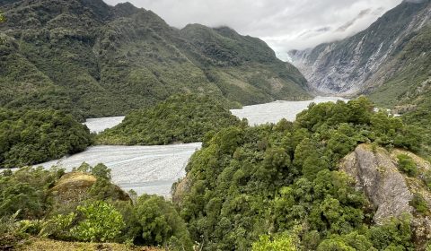 Franz Josef Glacier