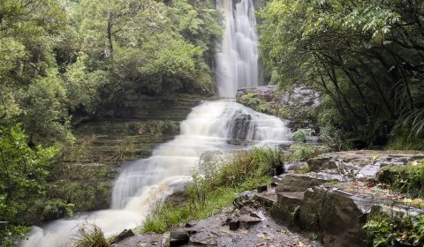 McLean Falls