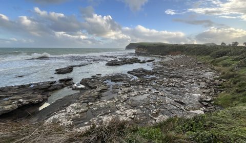 Curio Bay