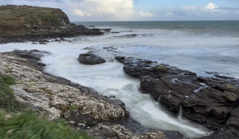 Curio Bay