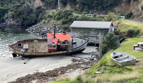 Stewart Island