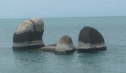 Ocean Rocks